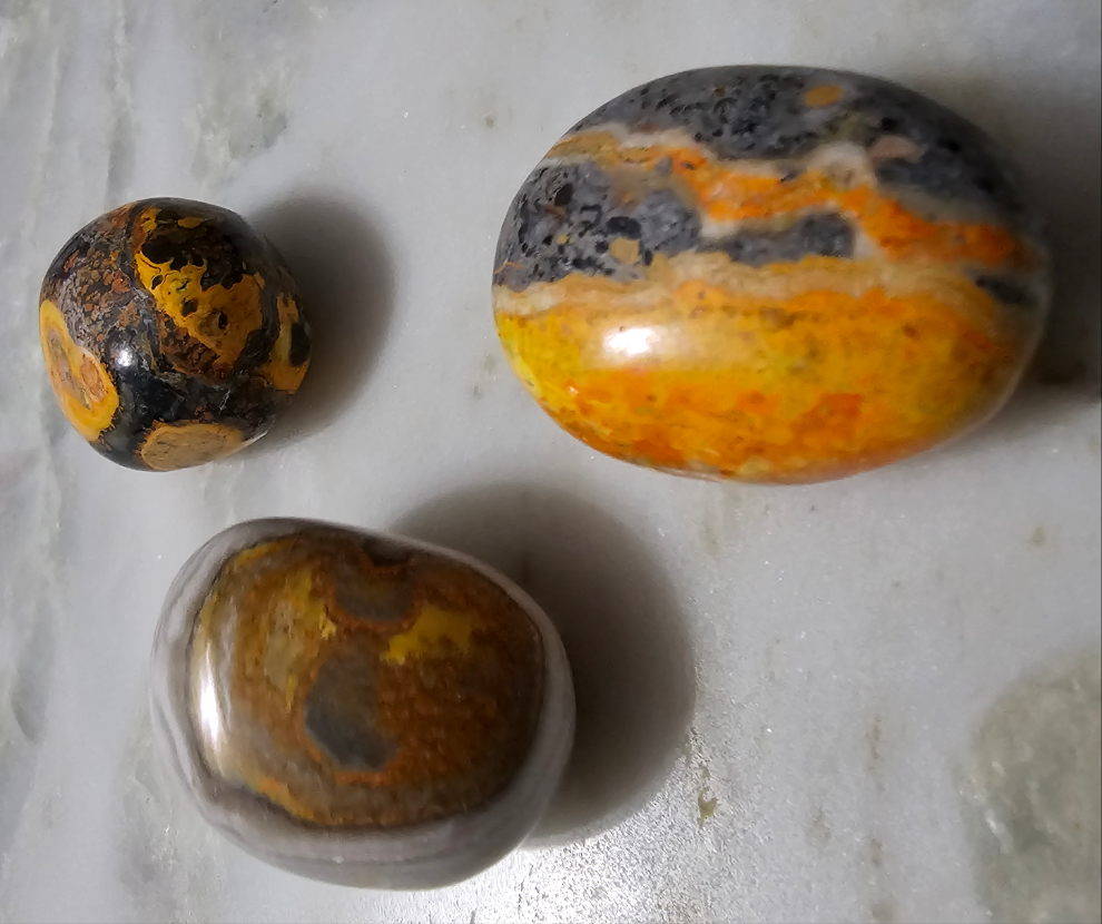 Bumblebee Jasper